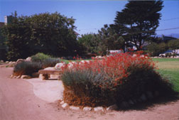 Park in Isla Vista